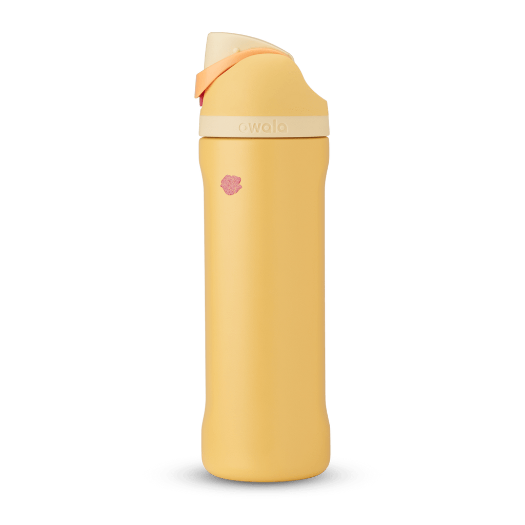 Disney Princess Collection Water Bottle 70RHZ