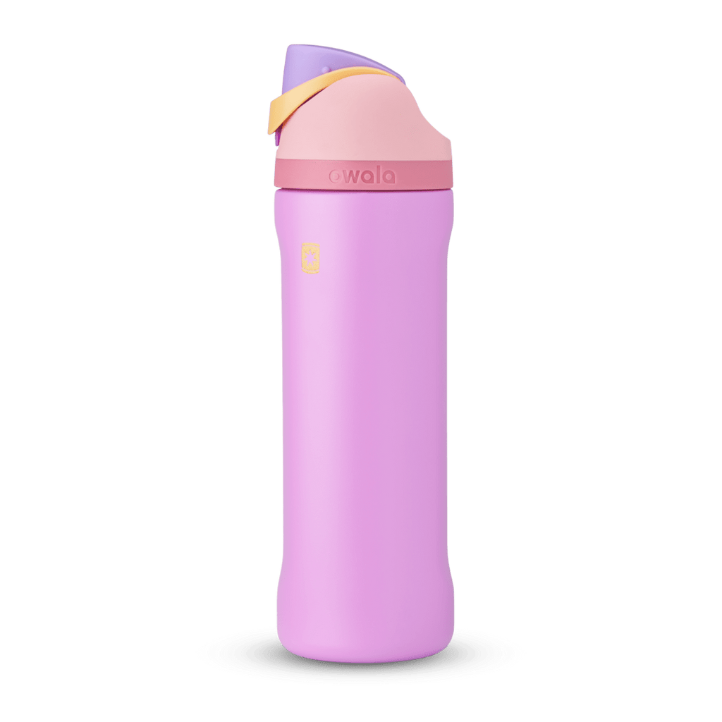Disney Princess Collection Water Bottle 70RHZ