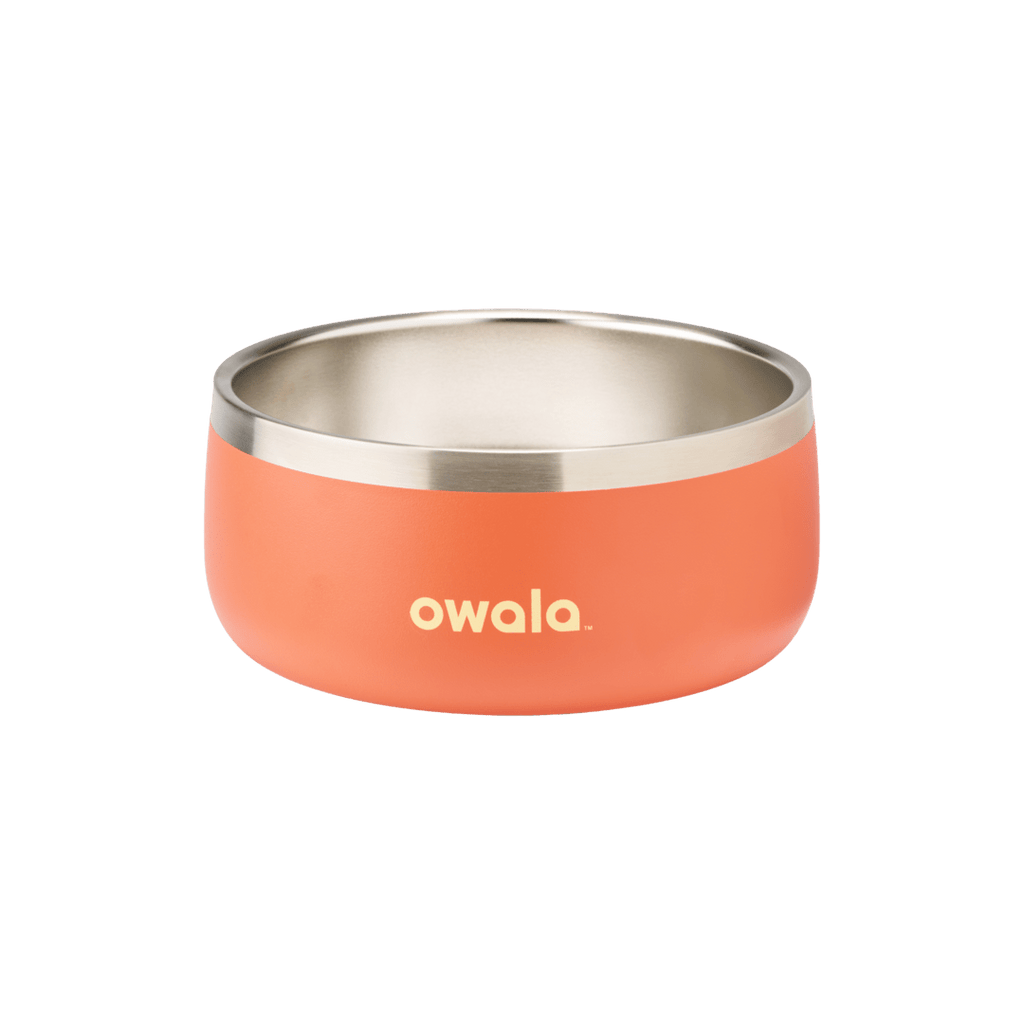 Pet Bowl Water Bottle YQEE4