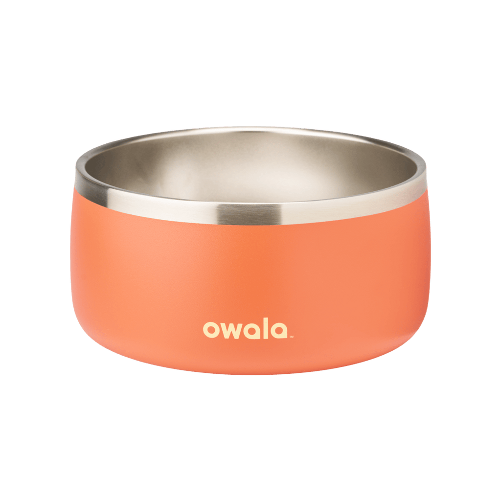 Pet Bowl Water Bottle YQEE4
