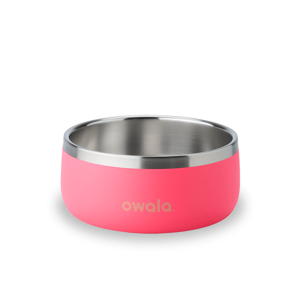 Pet Bowl Water Bottle YQEE4