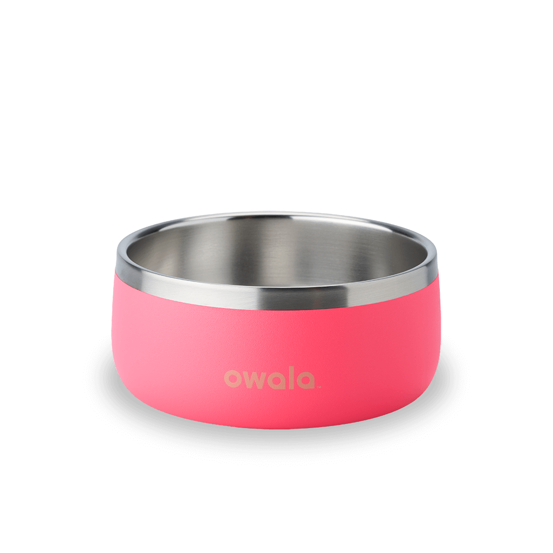 Pet Bowl Water Bottle YQEE4