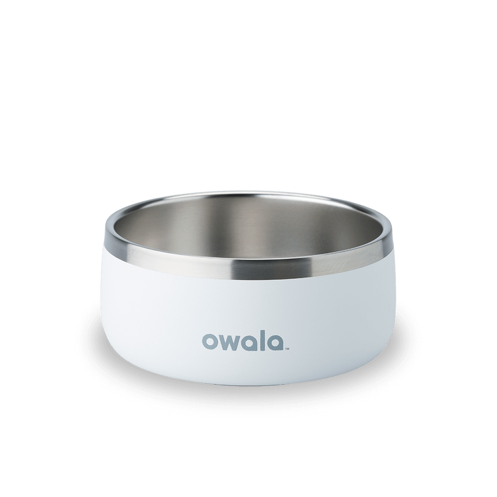Pet Bowl Water Bottle YQEE4
