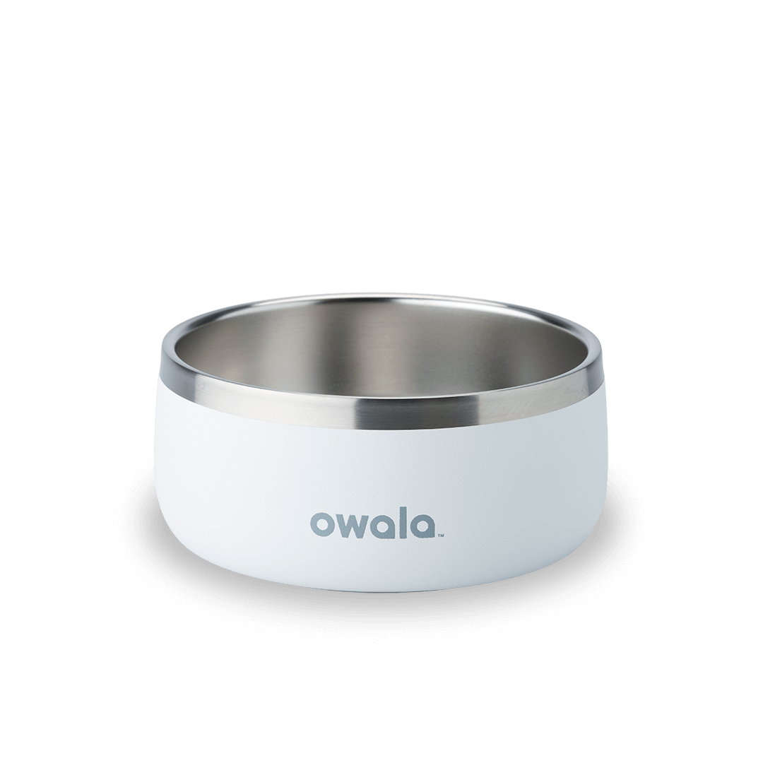 Pet Bowl Water Bottle YQEE4