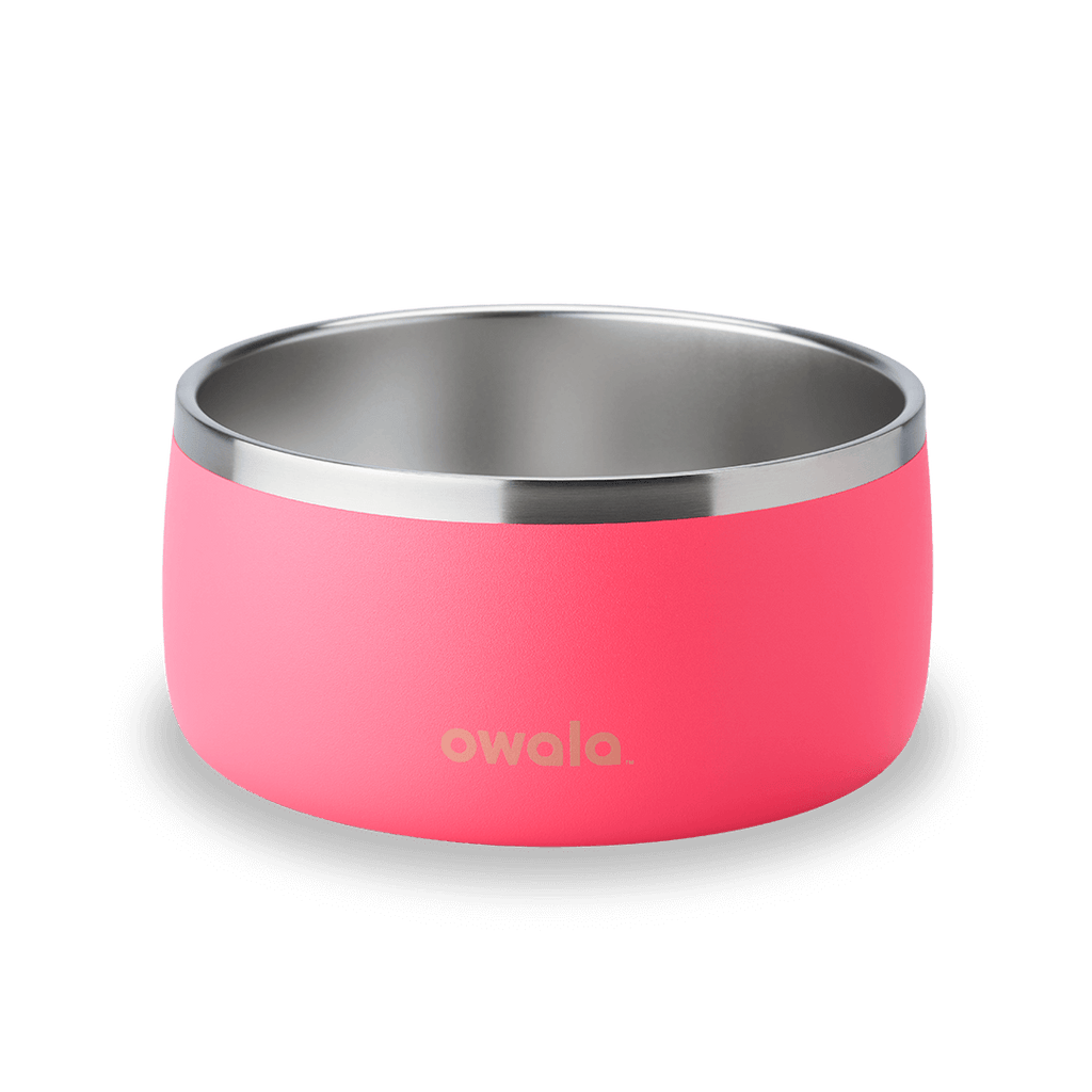 Pet Bowl Water Bottle YQEE4