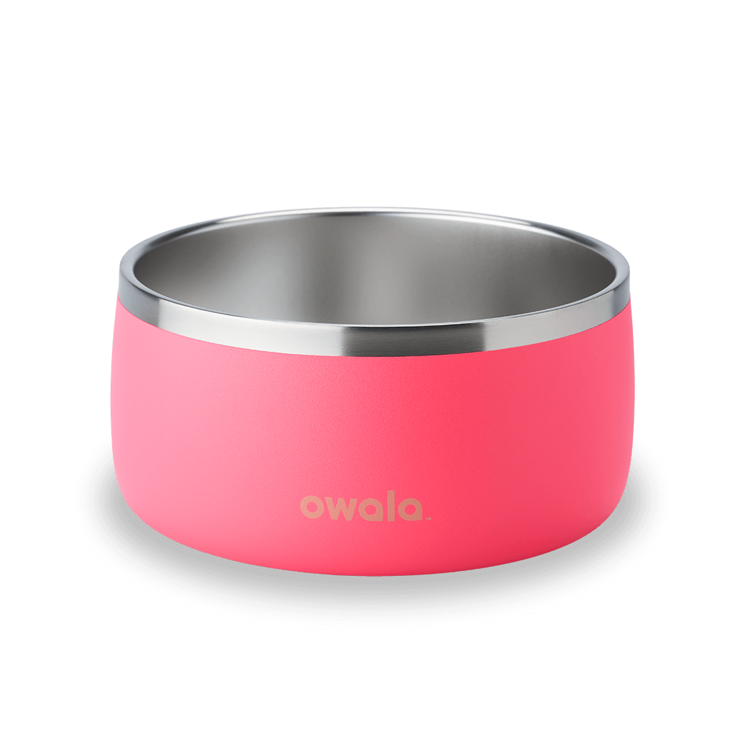 Pet Bowl Water Bottle YQEE4